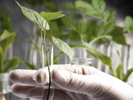 농업생명과학대학