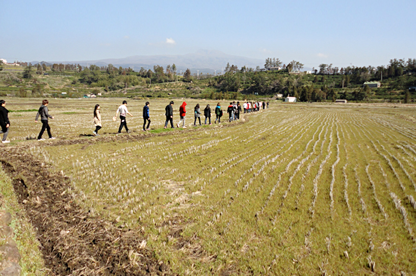 사실 공부는 발로 하는 것이다.