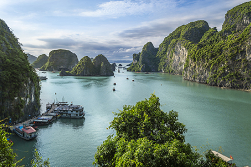 베트남의 하롱만