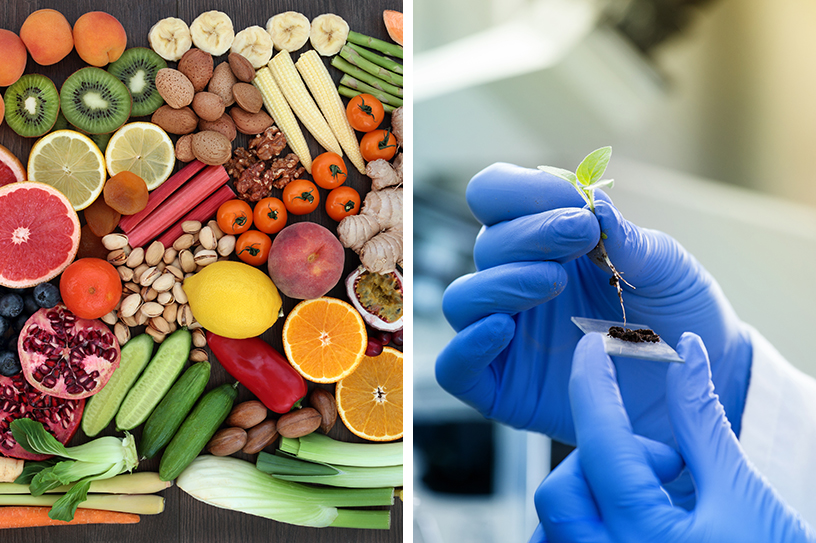 식품과 영양에 대한 올바른 정보는 과학적 접근에서 출발합니다