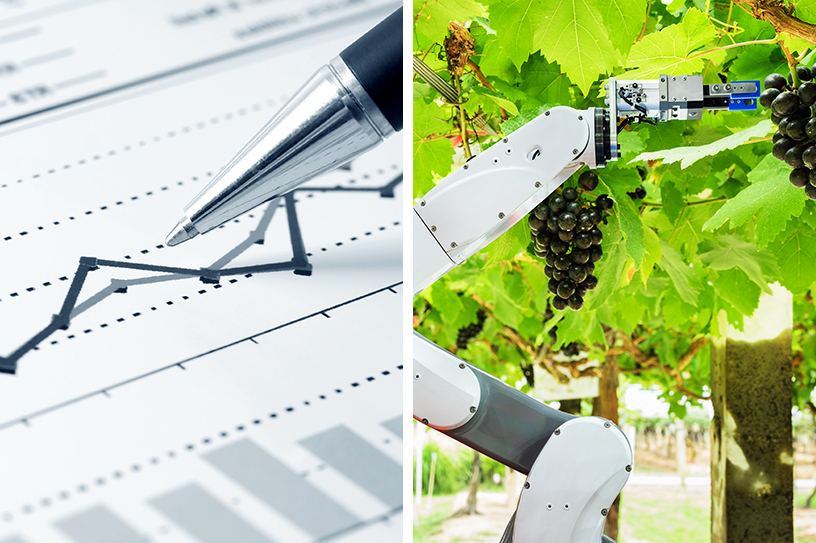 졸업생은 금융계나 기업체는 물론 농산업 분야에 이르기까지 다양한 영역으로 진출하고 있다