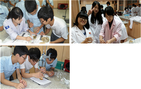 팀별 탐구활동 장면