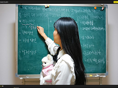 역사교사보다 인기가 많은 반려견 동반 영상탑재, 시청률 상승 