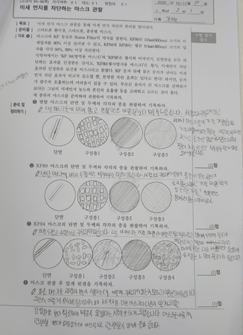 실험보고서 활동 예시