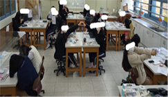 개별 실험 활동 모습