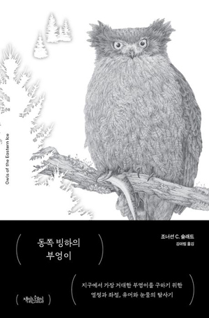책표지: 동쪽 빙하의 부엉이
